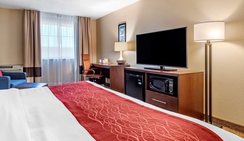 Room, 1 King Bed, Non Smoking (Pet Friendly)