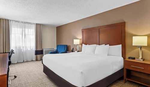 Room, 1 King Bed, Non Smoking