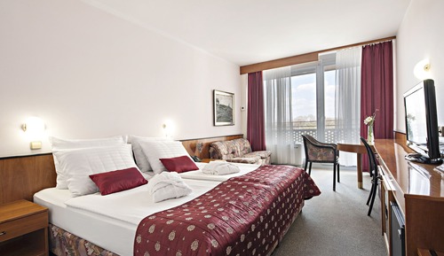 Economy Double Room Park View