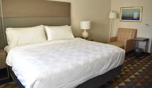 Standard Room, 1 King Bed, Accessible (Communications)