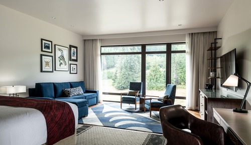 Executive Studio Suite, 1 King Bed with Sofa bed