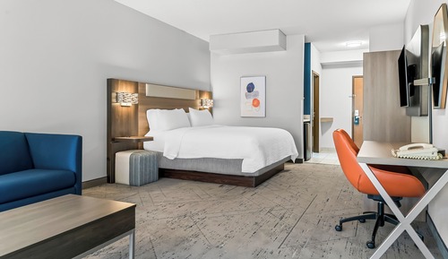 Suite, 1 King Bed with Sofa bed