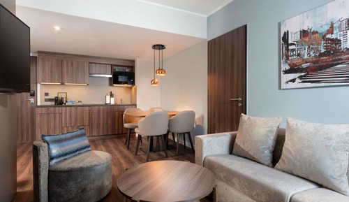 Premium Studio Suite, 1 King Bed with Sofa bed