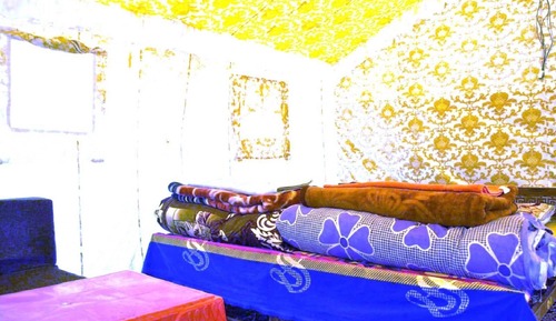 Standard Tent