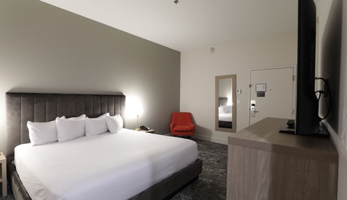 Suite, 1 King Bed