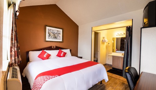Room, 1 King Bed