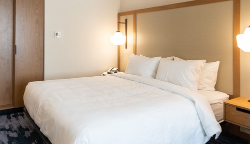 Room, 1 King Bed