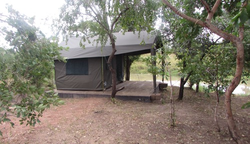 Basic Tent
