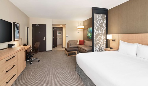 Room, 1 King Bed with Sofa bed