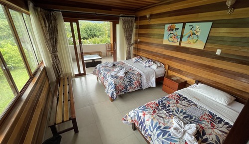 Premium Room