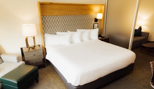 Suite, 1 King Bed with Sofa bed