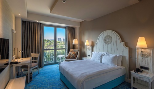 Double Room, 1 King Bed, Non Smoking