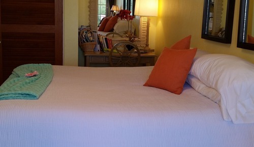 Swimming pool Superior with king bed and kitchenette