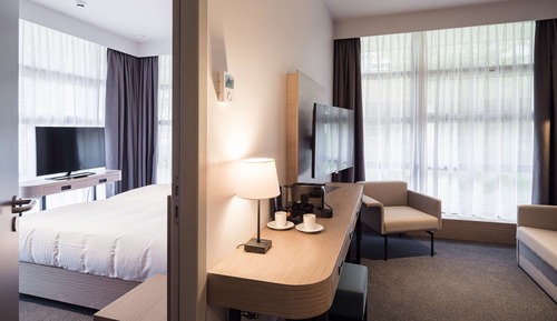 Suite, 1 King Bed, Non Smoking, Kitchenette (with Sofabed)
