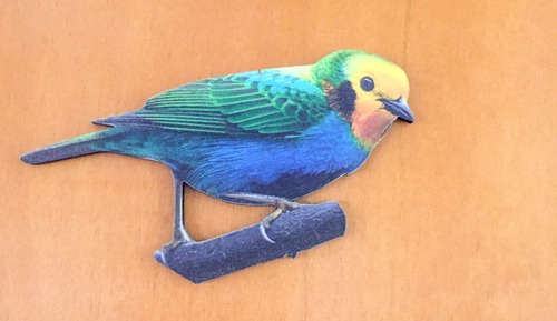 Multicolor TANAGER 6