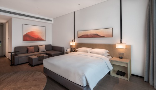 Room, 1 King Bed with Sofa bed, View