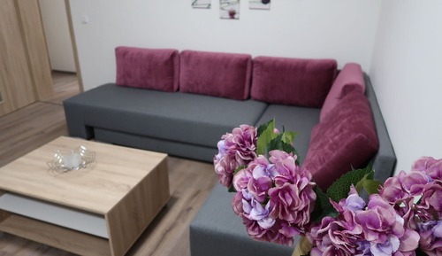 Family Apartment