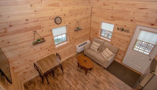 Lakeside Pine #5