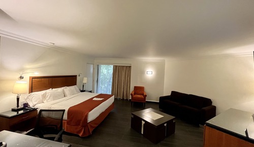 Junior Room, 1 King Bed