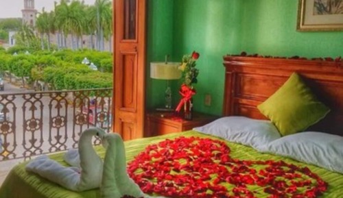 Panoramic Single Room