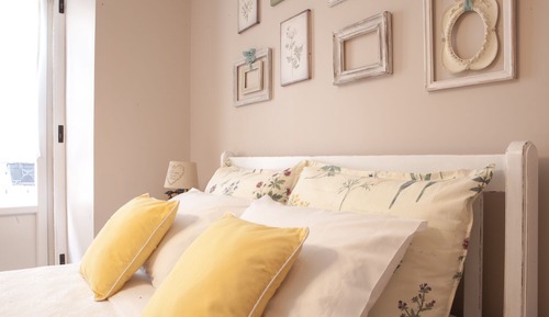 Studio Suite (Lavender)