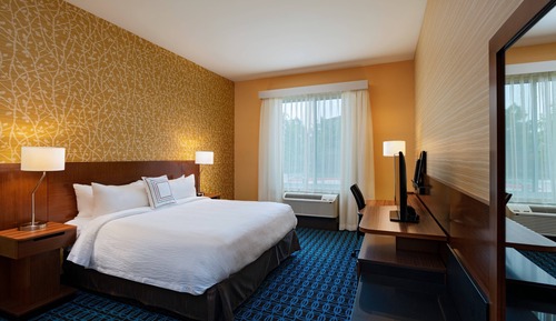Room, 1 King Bed (Mobility/Hearing Access, Roll-In Shwr)