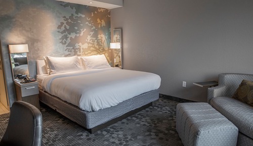 Room, 1 King Bed with Sofa bed