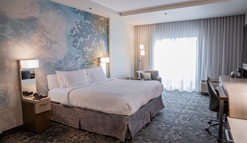 Room, 1 King Bed with Sofa bed (Mobility Accessible, Roll-In Shower)