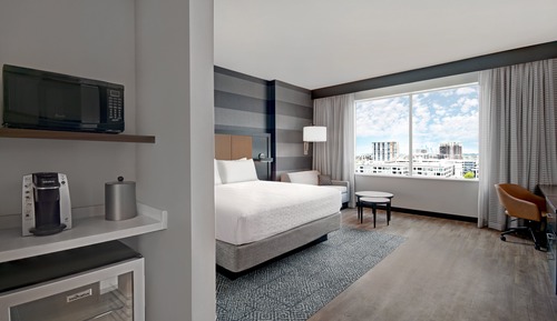 Standard Room, 1 King Bed, Accessible (Mobility, Roll Shwr)
