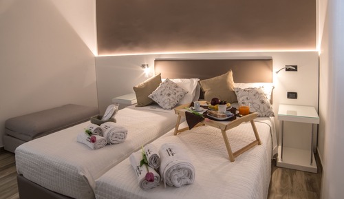 Deluxe Double or Twin Room