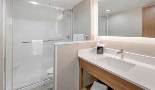 Suite, 1 King Bed with Sofa bed, Non Smoking (Upgrade)