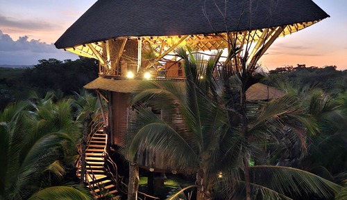 Tree House