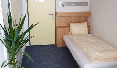 Single Room, Balcony, Lake View