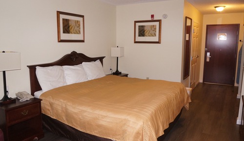 Basic Single Room