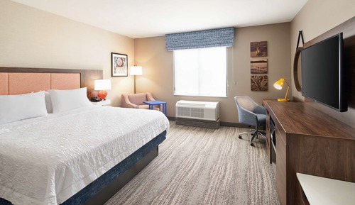 Room, 1 King Bed, Accessible, Bathtub (Mobility & Hearing)