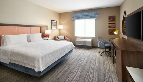 Room, 1 King Bed (with Sofabed)