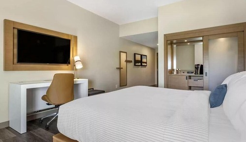 Room, 1 King Bed, Accessible (Roll-In Shower)