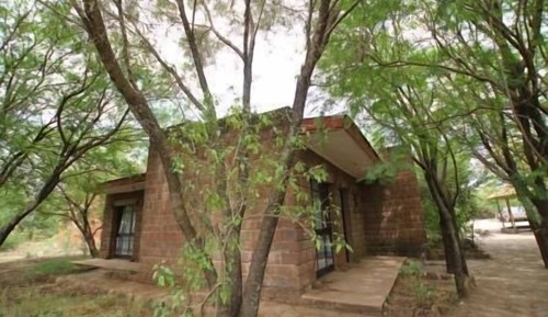 Basic Bungalow, Garden View