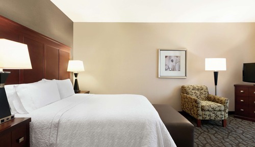 Room, 1 King Bed, Non Smoking