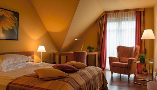 Business Single Room