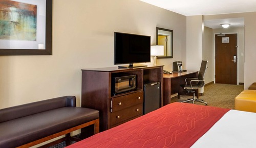 Suite, 1 King Bed with Sofa bed, Non Smoking