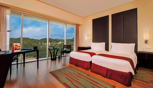 Deluxe Room, Park View