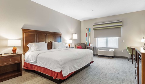One King Bed, Non-Smoking, Accessible