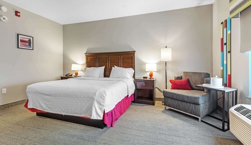 Room, 1 King Bed, Accessible, Non Smoking