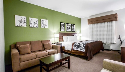 Standard Room, 1 King Bed with Sofa bed
