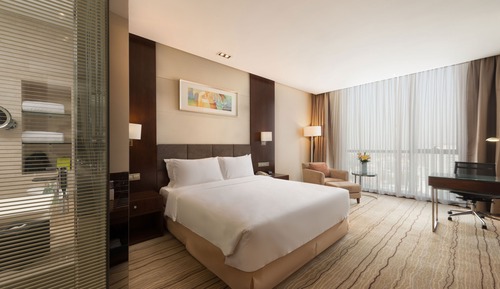 Standard Room, 1 King Bed, City View