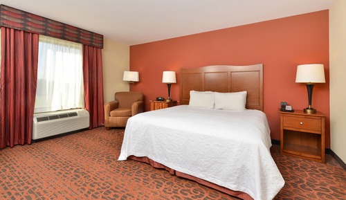 Room, 1 King Bed, Accessible, Bathtub (Mobility & Hearing)