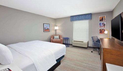 Room, 1 King Bed, Non Smoking (Shower Only)