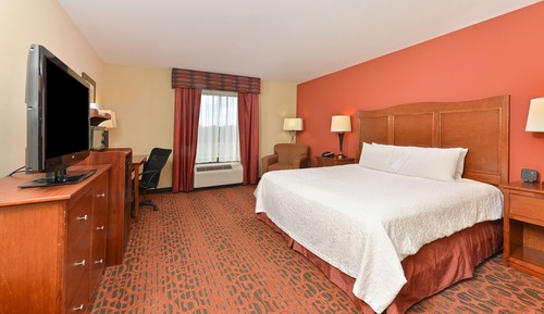Room, 1 King Bed, Accessible, Non Smoking (Mobility & Hearing - Roll-in Shower)