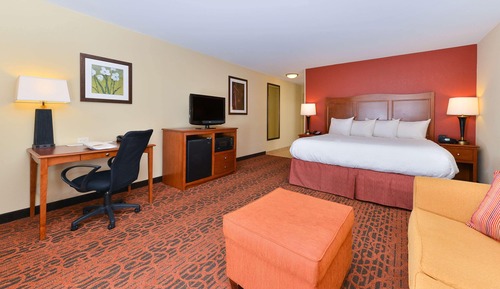 Room, 1 King Bed with Sofa bed, Non Smoking